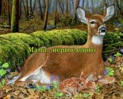 песня слова слова одни слова слушать песня слова слова одни слова слушать